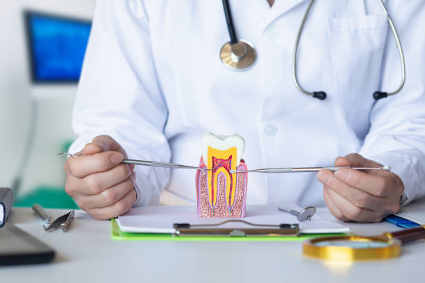 Best Emergency Denture Repair in Edgerton, MN